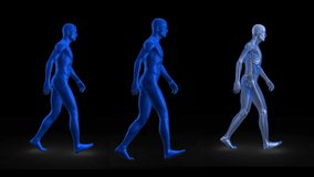 Animation of three blue human figures walking. global science, research connections and digital interface concept digitally generated video.