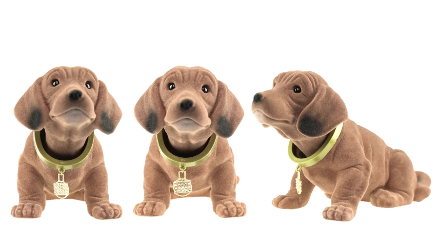 3 toy wiggle dachshunds wagging their heads. They sit in front of white background. Tempo changes, dogs nodding slowly in agreement at first, then nodding enthusiastically and quickly. "Wackeldackel" Royalty-Free Stock Footage #1074809225