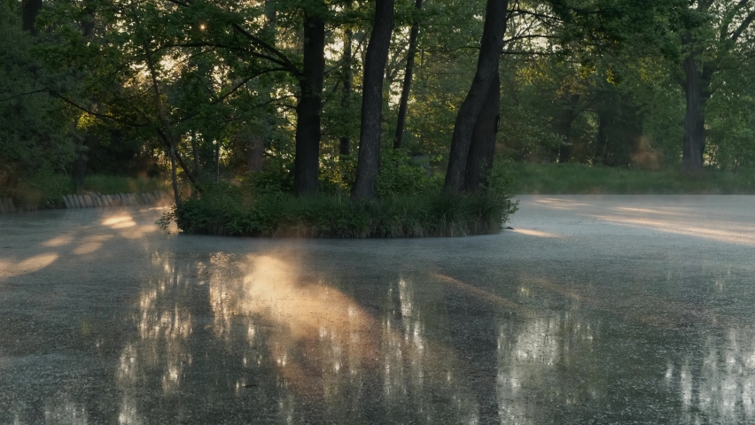 Water cycle Morning Fog over the pond. Steam Mist rising from the water during spring cold morning. Sunrise, Silence and natural beauty in Europea. Trees with rays of the sun reflected in the Lake.