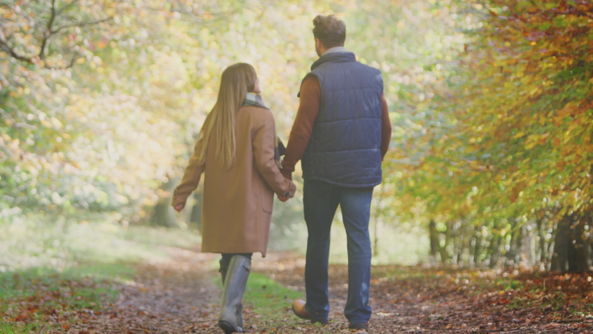 Rear view full length shot of loving mature couple walking along track in autumn countryside - shot in slow motion Royalty-Free Stock Footage #1074834644
