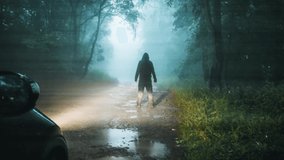 A sinister hooded figure standing in front of a car. On a spooky forest road on a foggy evening. With a glitch, dusty edit - Powered by Shutterstock - Get 15% off with code: PIKWIZARD15