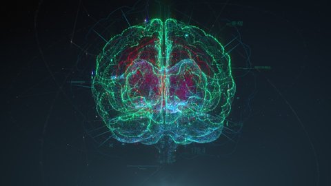 Digital model of the human brain. Brain scan technology concept