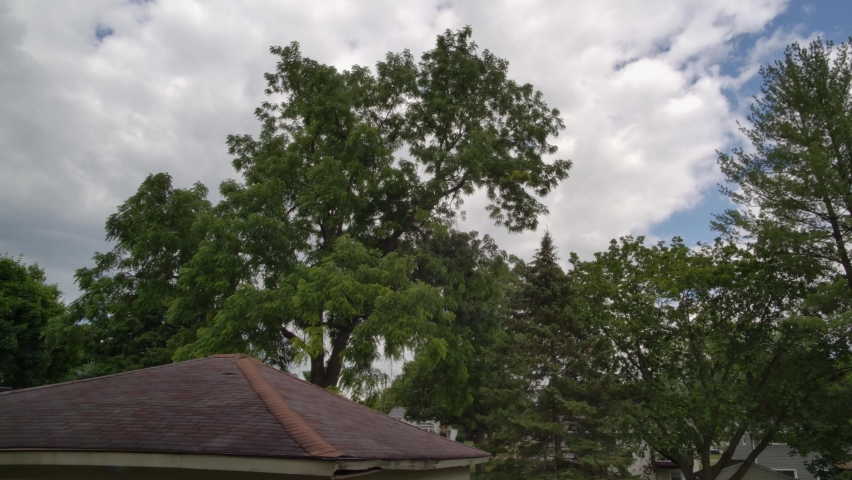 Trees Blowing In Wind Cloudy Day With Roof