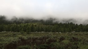 Foggy Weather Time-Lapse in Wyoming, USA.