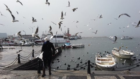 Cloudy winter day. Walkers feed seagulls with bread. Fishing boats. Snowing. Blue sea. Many black ducks, cormorants, seagulls. People walk along embankment, Turkey, Istanbul, February 2021.