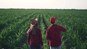 Agriculture. Happy family of farmer. Agricultural business. Farmer are walking in the corn field. Farmer on fertile soil. Agriculture and agricultural business concept. Farmers in corn on fertile soil
