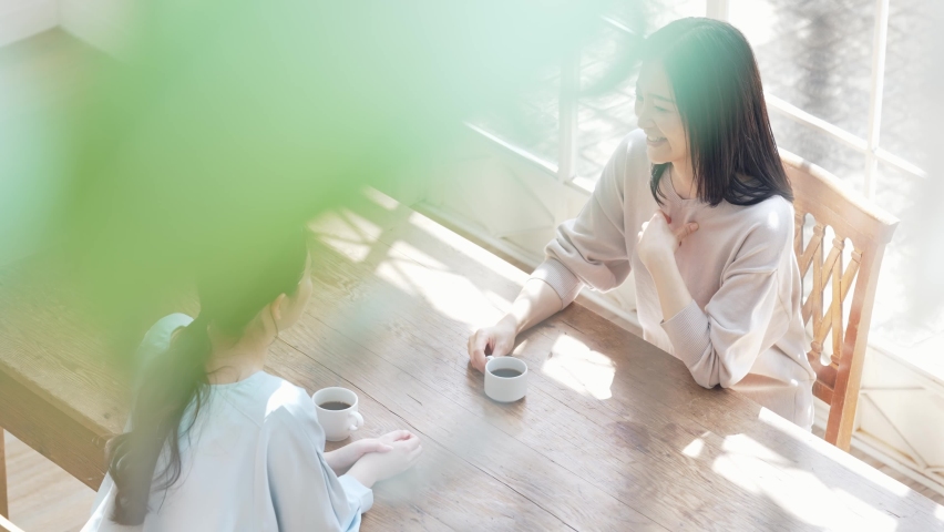 Couple of woman meeting in modern room. High angle view. Coffee break. Royalty-Free Stock Footage #1074958235