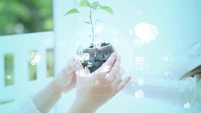 Little girl watching a plant. Environmental technology concept. Sustainable development goals. SDGs. - Powered by Shutterstock - Get 15% off with code: PIKWIZARD15