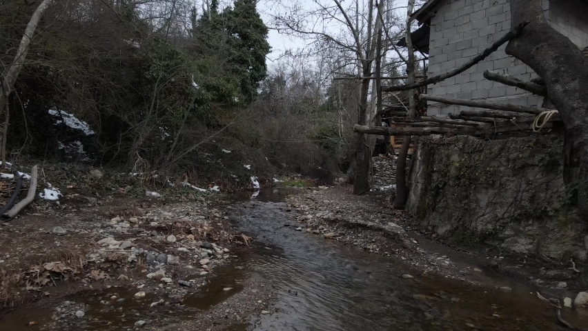 tree house by the creek
