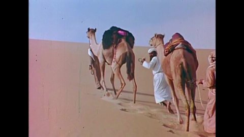 CIRCA 1973 - Bedouins travel across the Saudi Arabian desert in a camel caravan.