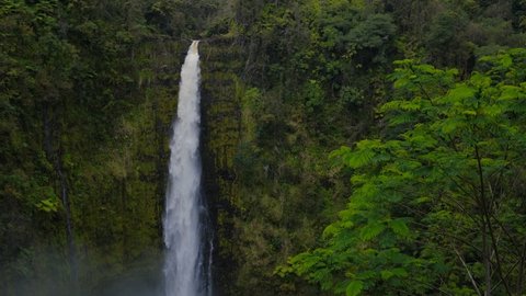 Tall waterfall splashes towards the ground. Surrounded by deep jungle greenery. Resolution: 4K Location: Big Island, Hawaii