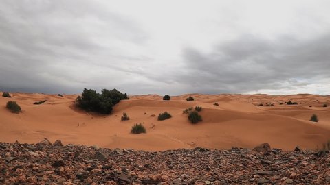 Golden Sand Dunes On Desolate Wilderness In Sahara Desert, Africa. - Timelapse