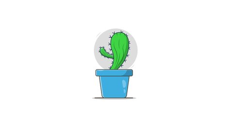 Cactus Animated cartoon icon on White background - Cactus Plant Sign. with green screen animation.