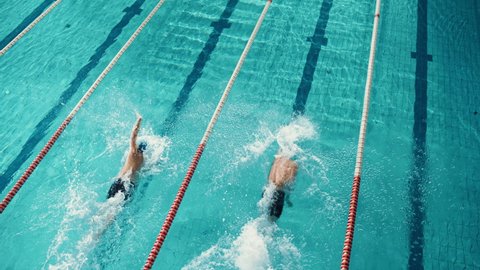 Swim Race: Two Professional Swimmers in Swimming Pool, Stronger and Faster Winner Decided. Athletes Compete the Best Wins Championship. Slow Motion with Stylish Colors, Wide Aerial View