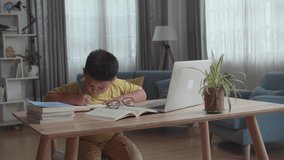 Little Boy Study At Home. Child Use Laptop Makes Notes

