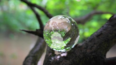 Glass earth globe in a tree by a stream.
Glass sphere with an earth map etched onto it perched on a tree branch by a muddy stream.