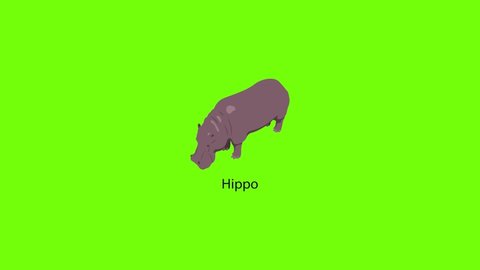 Hippo icon animation best object on green screen background
