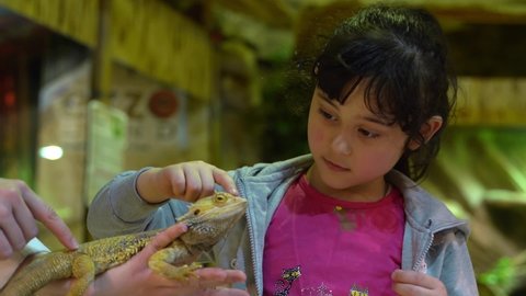 A little girl is stroking a lizard. Child and reptile. Pogona Vitticeps or Bearded Dragon. Australian Agama.
June 1, 2021, Kyiv, Ukraine