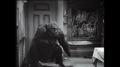 CIRCA 1940 - In this horror film, a gorilla breaks into the laboratory of a mad scientist (Boris Karloff), who manages to fight it off.