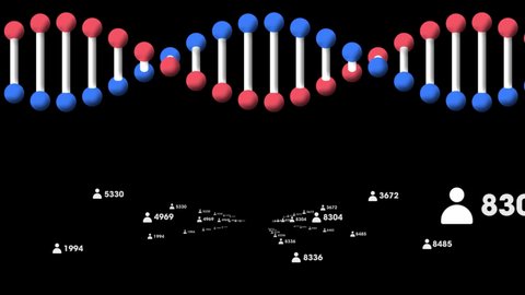 Animation of 3d dna strand spinning with people icons and numbers changing on black background. global digital interface, technology and networking concept digitally generated video.