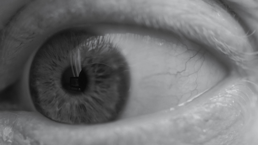 Eye in black and white, blinking and moving rapidly, displaying a state of surprise and anxiousness. Different emotions concept. Royalty-Free Stock Footage #1075086686