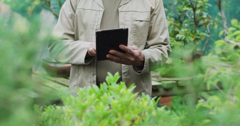 Midsection of african american male gardener using tablet at garden center. working at bonsai nursery, small specialist business.
