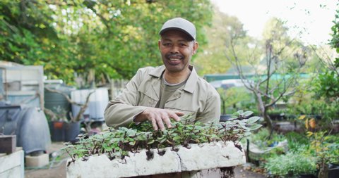 African american male gardener holding seedlings, looking at camera and smiling at garden center. working at bonsai nursery, small specialist business.