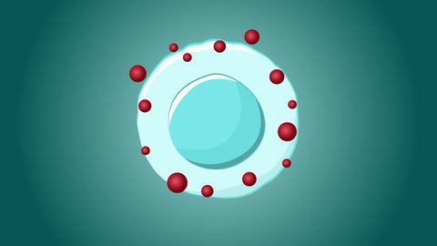 Oxidative Stress 4K Animation. Free Radicals Aging A Cell