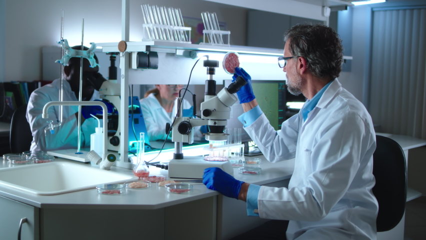 Microbiologist in white robe checking cell based lab grown vegan meat samples in Petri dishes while sitting at table near diverse colleagues in lab. Royalty-Free Stock Footage #1075100201