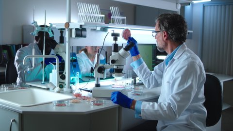 Microbiologist in white robe checking cell based lab grown vegan meat samples in Petri dishes while sitting at table near diverse colleagues in lab.