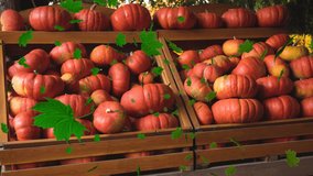 Animation of autumn leaves falling over pumkins on shelves. halloween, autumn, celebration and tradition concept digitally generated video.