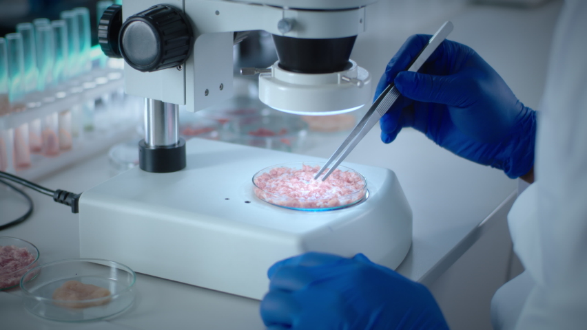 Anonymous person in latex gloves using microscope to check sample of cell cultured lab grown meat on table in laboratory Royalty-Free Stock Footage #1075106288