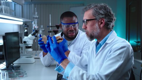 Black scientist talking and watching middle aged colleague eating burger with cell cultured lab grown chicken meat during work in lab