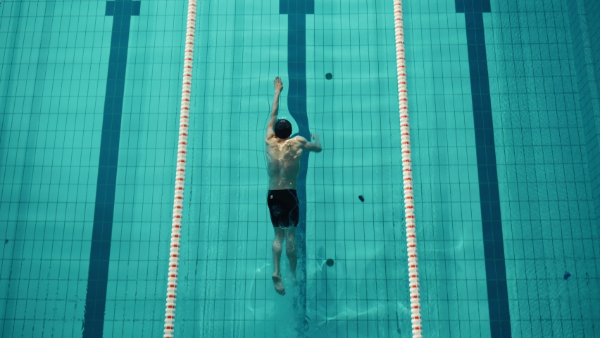 Aerial Top View: Muscular Male Swimmer Diving in Swimming Pool. Professional Athlete Gracefully Jumps, Swims Freestyle, Training Determined to Win Championship. Cinematic Slow Motion, Stylish Colors