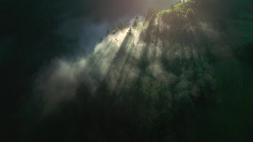 Ecosystem forest aerial view, mist rising in the sun beams, eco green concept imagery, forests produce oxygen | Shutterstock HD Video #1075113674