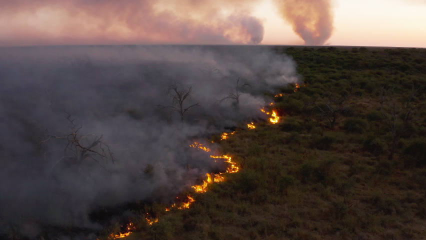 Climate emergency.Climate change. Global warming. Epic spectacular aerial fly over view of a grass fire caused by drought and climate change Royalty-Free Stock Footage #1075114154