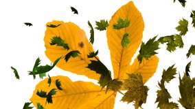 Animation of autumn leaves falling over big yellow leaf. halloween, autumn, celebration and tradition concept digitally generated video.