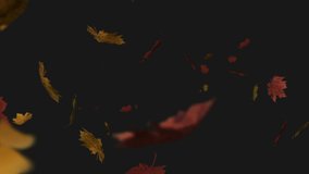 Animation of autumn leaves falling over black background. halloween, autumn, celebration and tradition concept digitally generated video.