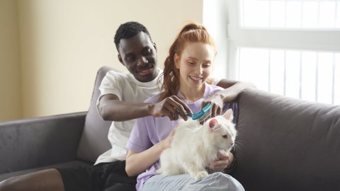 A man and a woman sit at home on the couch and pet their favorite cat.