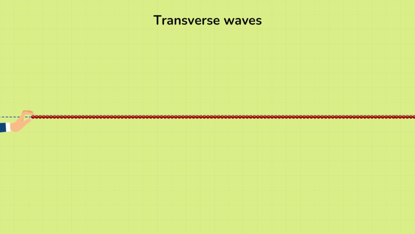 Transverse Waves, 2D animation video of Transverse Waves. Animated 4K video of Transverse Waves.
 Royalty-Free Stock Footage #1075125107