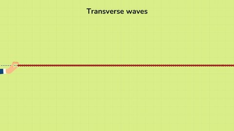 Transverse Waves, 2D animation video of Transverse Waves. Animated 4K video of Transverse Waves.
