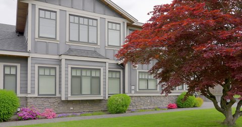 Establishing shot of nice outdoor landscape with green lawn, maple tree and green background in Vancouver, Canada, North America. Overcast. Day time on May 2021. Still camera view. ProRes 422 HQ.