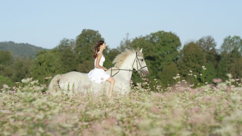 SLOW MOTION: Young brunette girl rides a beautiful white horse past a blooming buckwheat field. Caucasian woman riding bareback gallops on her white stallion around the idyllic Slovene countryside.