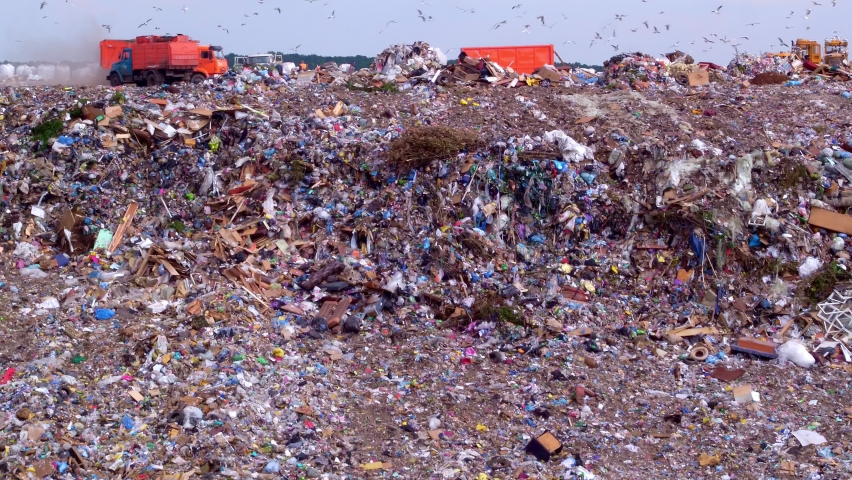 The landfill is located next to the forest. Orange garbage trucks unload garbage. Household waste management industry. Utilities. High quality. 4k footage. | Shutterstock HD Video #1075162253
