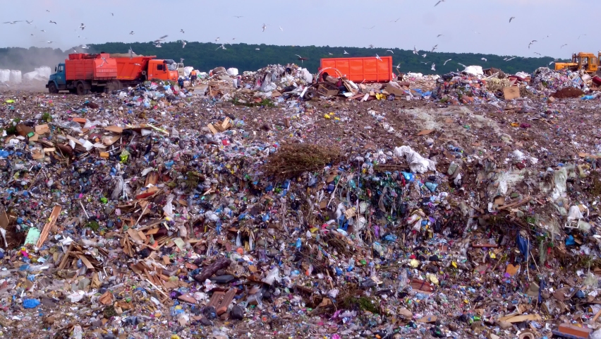 The landfill is located next to the forest. Orange garbage trucks unload garbage. Household waste management industry. Utilities. High quality. 4k footage.