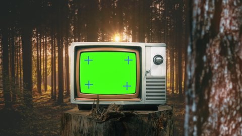 Vintage Television In Forest Green Screen TV Motion Background. Vintage television green screen broadcasting signal in the middle of the forest. Zoom in