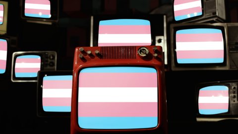 Transgender Flags and Vintage Televisions. 4K Resolution.