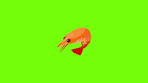 Shrimp icon animation cartoon object on green screen background