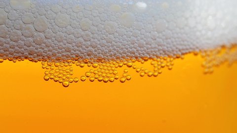 Amazing closeup of a beer glass that is being filled up with more beer. More foam builds, and tiny bubbles race to the top of the glass. Beautiful gradient of gold and amber as backdrop.
