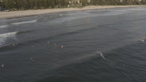 Surfers on the ocean. Ocean waves wash sand beach. Aerial Cinematic drone shot. Surfers Paradise, Gold Coast. Seascape in Queensland Australia.  10-bit Dlog-M.